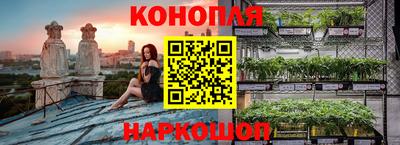 apvp Моздок