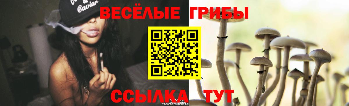 Псилоцибиновые грибы мицелий  Вход с VPN  Северобайкальск  Псилоцибиновые грибы Psilocybine cubensis 